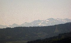 161_IMG_x51850_cr