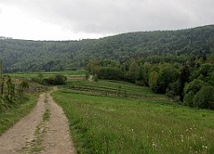 177_IMG_x52212_cr