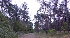 011_TZ60_P1040431_cr