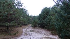 018_TZ60_P1040438_cr