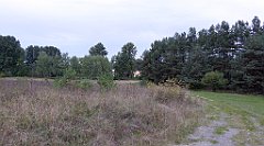 031_TZ60_P1040451_cr