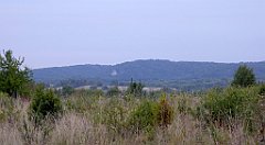 057_TZ60_P1040477_cr