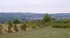 061_TZ60_P1040483_cr