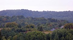 072_TZ60_P1040505_cr