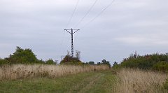 086_TZ60_P1040527_cr