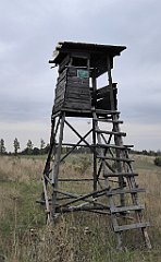 118_TZ60_P1040561_cr