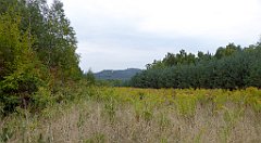 136_TZ60_P1040579_cr