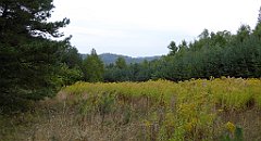 143_TZ60_P1040586_cr