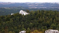 203_TZ60_P1040638_cr