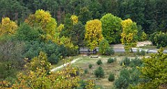 218_TZ60_P1040650_cr