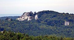 256_TZ60_P1040673_cr