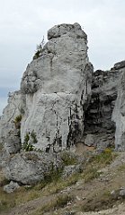 292_TZ60_P1040679_cr