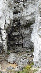 293_TZ60_P1040680_cr