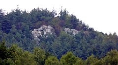 325_TZ60_P1040695_cr