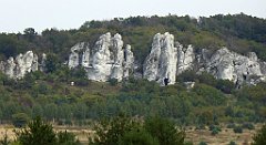 337_TZ60_P1040711_cr