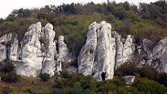 339_TZ60_P1040715_cr