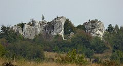 342_TZ60_P1040718_cr