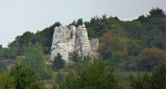 343_TZ60_P1040719_cr