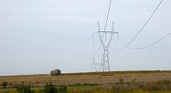 375_TZ60_P1040748_cr