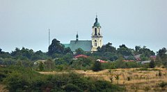 393_TZ60_P1040757_cr