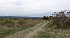 394_TZ60_P1040758_cr