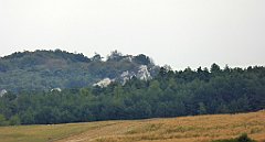 411_TZ60_P1040784_cr