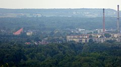 452_TZ60_P1040838_cr