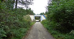 470_TZ60_P1040863_cr