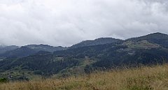 098_TZ60_P1040909_cr