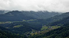 104_TZ60_P1040916_cr