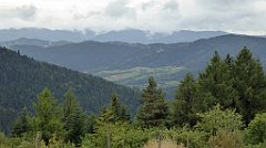 121_TZ60_P1040938_cr