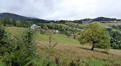 138_TZ60_P1040946_cr