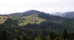 147_TZ60_P1040956_cr