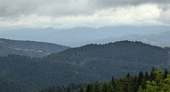 157_TZ60_P1040966_cr