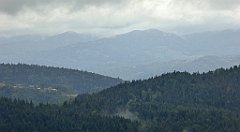 162_TZ60_P1040971_cr