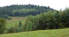 171_TZ60_P1040980_cr