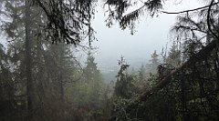 191_TZ60_P1040986_cr