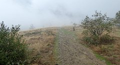 206_TZ60_P1050003_cr