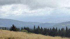 214_TZ60_P1050011_cr