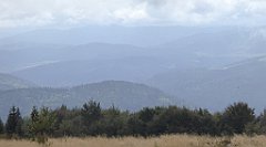 216_TZ60_P1050014_cr