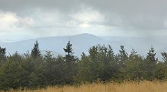 223_TZ60_P1050022_cr