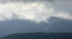 237_TZ60_P1050036_cr