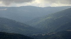 243_TZ60_P1050042_cr