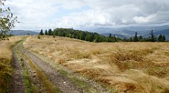 268_TZ60_P1050071_cr