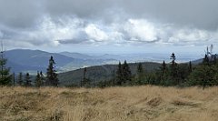 269_TZ60_P1050072_cr