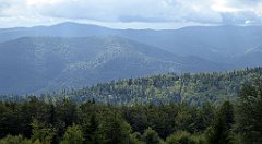 277_TZ60_P1050080_cr