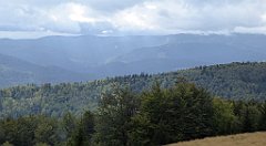 278_TZ60_P1050081_cr