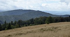 280_TZ60_P1050083_cr