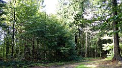 321_TZ60_P1050113_cr