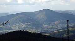 329_TZ60_P1050120_cr